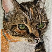 Van alles wat. Traditional illustration project by Ellen - 01.22.2022