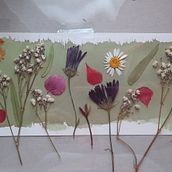 PROYECTO EN CIANOTIPIA. Un progetto di Fotografia di Daisy Mondaca Castro - 20.01.2022