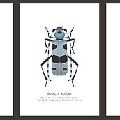 My project in Scientific Illustration for Pattern Design course. Traditional illustration, Pattern Design, Digital Illustration, Naturalistic Illustration, Patternmaking, and Dressmaking project by Rea Nemer - 01.22.2022