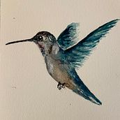 Hummingbird . Un projet de Illustration traditionnelle, Aquarelle et Illustration naturaliste de Kirsten Steward - 22.01.2022