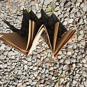 Zigzag Book with Solar printing. Arts, and Crafts project by Fliss Newton - 01.23.2022