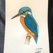 Martín Pescador. Watercolor Painting project by Sandra Cabrera Patiño - 01.23.2022