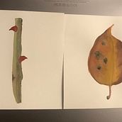 Espinas y otoño. Watercolor Painting project by Sandra Cabrera Patiño - 01.23.2022