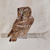 Mein Kursprojekt: Experimentelle Aquarelltechniken für Anfänger. Traditional illustration, Fine Arts, Watercolor Painting, and Naturalistic Illustration project by Carmen Bezençon - 01.24.2022