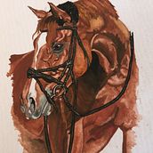 My project in Expressive Animal Portraits in Watercolor course. Un projet de Illustration traditionnelle, Aquarelle, Dessin réaliste et Illustration naturaliste de Dani Smit - 14.01.2022