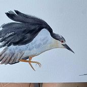 My project in Naturalist Watercolor with Expression and Personality course. Een project van Traditionele illustratie, Aquarelschilderen y Naturalistische illustratie van Crystal C - 24.01.2022