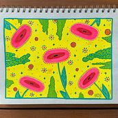 My Project for Botanical Patterns in a Sketchbook: Conquer the Blank Page Course. Traditional illustration, Pattern Design, Botanical Illustration, and Sketchbook project by Hazal Kamisli - 01.23.2022