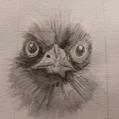 Mijn project van de cursus: Vogels illustreren met artistieke aquarel. Traditional illustration, Watercolor Painting, Realistic Drawing, and Naturalistic Illustration project by Henriette Kamp - 01.24.2022