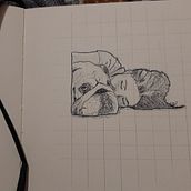 My project in Illustrated Diary: Fill Your Sketchbook with Experiences course Ein Projekt aus dem Bereich Traditionelle Illustration, Skizzenentwurf, Zeichnung, Sketchbook und Illustration mit Tinte von Eletta Bianco - 24.01.2022