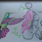 Il mio progetto del corso: Illustrazione surrealista ispirata alla natura. Un progetto di Illustrazione tradizionale, Disegno a matita, Disegno, Disegno artistico, Illustrazione naturalistica e Disegno con matite colorate di Valeria Mancinelli - 24.01.2022