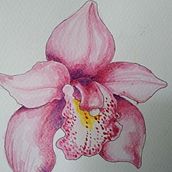 Mi Proyecto del curso: Sketchbook botánico: una aproximación meditativa. Traditional illustration, Sketching, Drawing, Watercolor Painting, Botanical Illustration, and Sketchbook project by Yahann Romero - 01.25.2022