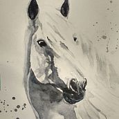My project in Expressive Animal Portraits in Watercolor course. Een project van Traditionele illustratie, Aquarelschilderen, Realistische tekening y Naturalistische illustratie van dennismateri - 23.01.2022