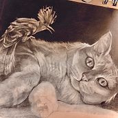 Cat nap. Projekt z dziedziny Trad, c i jna ilustracja użytkownika violetavogt - 25.01.2022