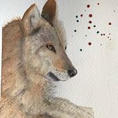 Mon projet du cours : Portraits expressifs d'animaux à l'aquarelle. Traditional illustration, Watercolor Painting, Realistic Drawing, and Naturalistic Illustration project by cdeblais - 01.25.2022