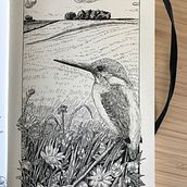 My project in Dip Pen and Ink Illustration: Capturing The Natural World course . % Lin tarafından hazırlanan Eskiz çizimi, Çizim, Sanatsal Çizim, Eskiz defteri, Mürekkep İllüstras, onu, Doğalcı İllüstras, Ve on projesi - 01.26.2022