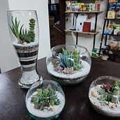 Mi Proyecto del curso: Arte vegetal: crea tu propio terrario abierto. Un projet de Design d'intérieur, Pa, sagisme, Décoration, DIY , et Art floral et végétal de Andres Santafe - 26.01.2022