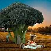Mon projet du cours : Les secrets du photomontage et de la retouche créative. Un progetto di Fotografia, Postproduzione fotografica, VFX, Ritocco fotografico, Fotografia artistica, Composizione fotografica e Fotomontaggio di Yvelise BALLU - 26.01.2022