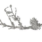 Botanical art. Traditional illustration, and Design project by Anastasiya Avramchuk - 04.26.2021