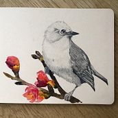 Mein Kursprojekt: Illustriere Vögel mit expressiven Aquarelltechniken. Traditional illustration, Watercolor Painting, Realistic Drawing, and Naturalistic Illustration project by Jenny - 01.26.2022