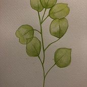My project in Naturalist Illustrations with Watercolors: Drawing and Composition course. Traditional illustration, Drawing, Watercolor Painting, Naturalistic Illustration, and Design project by b7krc8dfsd - 01.26.2022