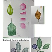O meu Curso de Ilustração botânica com aquarela. Traditional illustration, Fine Arts, Painting, Drawing, Watercolor Painting, and Botanical Illustration project by sandradiasbranco - 01.26.2022