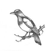 Ilustrando la Vida . % Adriana Botero Velez tarafından hazırlanan Geleneksel illüstras, Ve on projesi - 01.26.2022