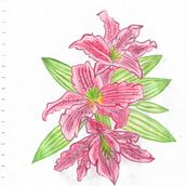 Flores . % Adriana Botero Velez tarafından hazırlanan Geleneksel illüstras, Ve on projesi - 01.26.2022