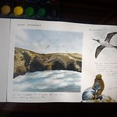 Cuaderno de viaje en acuarela, Islas Ballestas en Perú por Alessandra Pinto. Un projet de Aquarelle, Peinture, Beaux Arts, Créativité, Dessin, Réseaux sociaux et Illustration traditionnelle de Alessandra Pinto Apaza - 21.01.2022