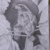 O urutal é a lua Ein Projekt aus dem Bereich Zeichnung, Artistische Zeichnung und Naturalistische Illustration von Antonieta Pavanelo - 24.12.2021