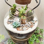 Mi Proyecto del curso: Arte vegetal: crea tu propio terrario abierto. Projekt z dziedziny Projektowanie wnętrz, Architektura krajobrazu,  Dekoracja wnętrz, DIY, Kompoz i cje kwiatowe i botaniczne użytkownika Luis Palacios - 26.01.2022