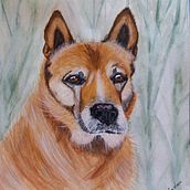 Mi Osito. Traditional illustration, Watercolor Painting, Realistic Drawing, and Naturalistic Illustration project by cintyaortizlemos - 01.27.2022
