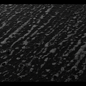 No Words. Un progetto di Musica, Video editing e Video di tsarnath - 27.12.2021