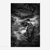 Longwater. Photograph project by Mike Shipman - 01.27.2022