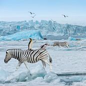 What's happening here. Un progetto di Fotomontaggio di leo_mariotte - 26.01.2022