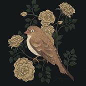 Little Sparrow & Wild Roses. Traditional illustration, Drawing, Digital Illustration, Realistic Drawing, Digital Painting, and Naturalistic Illustration project by Jesika - 01.27.2022