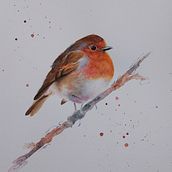 My project in Artistic Watercolor Techniques for Illustrating Birds course. Traditional illustration, Realistic Drawing, Naturalistic Illustration, and Watercolor Painting project by Daphne Edlund - 01.25.2022