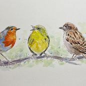 My project in Artistic Watercolor Techniques for Illustrating Birds course. Traditional illustration, Watercolor Painting, Realistic Drawing, and Naturalistic Illustration project by manjawil - 01.27.2022