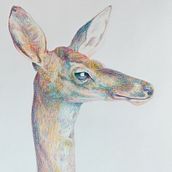 My project in Surrealist Illustration Inspired by Nature course. Traditional illustration, Pencil Drawing, Drawing, Artistic Drawing, Naturalistic Illustration, and Colored Pencil Drawing project by brandon - 01.29.2022
