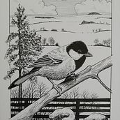 My project in Dip Pen and Ink Illustration: Capturing The Natural World course Ein Projekt aus dem Bereich Skizzenentwurf, Zeichnung, Artistische Zeichnung, Sketchbook, Illustration mit Tinte und Naturalistische Illustration von Linda Doubravová - 29.01.2022