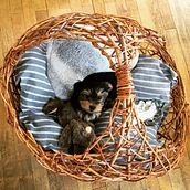 Arbeiten mit der Natur Ein Projekt aus dem Bereich Kreativität, DIY, H und werk von MÜLLER PEGGY - 29.01.2022