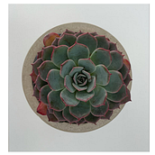 Mi Proyecto del curso: Macetas para plantas Suculentas. Arts, Crafts, Furniture Design, Making, Interior Design, Interior Decoration, and DIY project by German Tapia - 01.29.2022