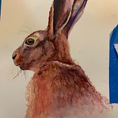Hare watercolor. Un proyecto de Bellas Artes de Susan - 30.01.2022