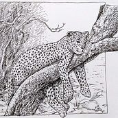 Nature with ink. Sketching, Drawing, Artistic Drawing, Sketchbook, Ink Illustration, and Naturalistic Illustration project by sherlockmang - 01.30.2022