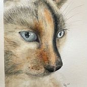 My project in Expressive Animal Portraits in Watercolor course_my cat. Projekt z dziedziny Malowanie akwarelą, Rysunek realistyczny i Ilustracja naturalistyczna użytkownika Rhonda Bathurst - 30.01.2022
