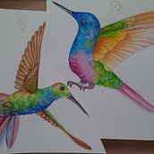 Colibríes. Traditional illustration, Fine Arts, Drawing, and Creativit project by Mónica Ochoa de Muñoz - 02.01.2022