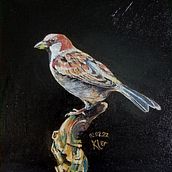 My project in Classical Oil Painting for Naturalist Bird Portraiture course. Un proyecto de Bellas Artes, Pintura, Pintura al óleo e Ilustración naturalista				 de Svetlana Volchak - 01.02.2022