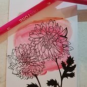 Mein Kursprojekt: Botanisches Zeichenheft: ein meditativer Ansatz. Un progetto di Illustrazione tradizionale, Bozzetti, Disegno, Pittura ad acquerello, Illustrazione botanica e Sketchbook di Claudia Schäfer - 02.02.2022