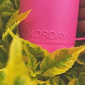 CREATIVA DE MARCA . Un proyecto de Publicidad, Fotografía, Br e ing e Identidad de Marifer Salas - 02.02.2022