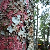 Encuentros . Fotografie, Arte plastice și Fotografie de artă plastică de Elisa Lahitte Eberbach - 07.29.2017