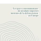 Projet datavisualisation / Les pays consommateurs de produits importésmoteurs de la déforestation en Europe. Information Design, Interactive Design & Infographics project by Gaëlle Huber - 02.03.2022
